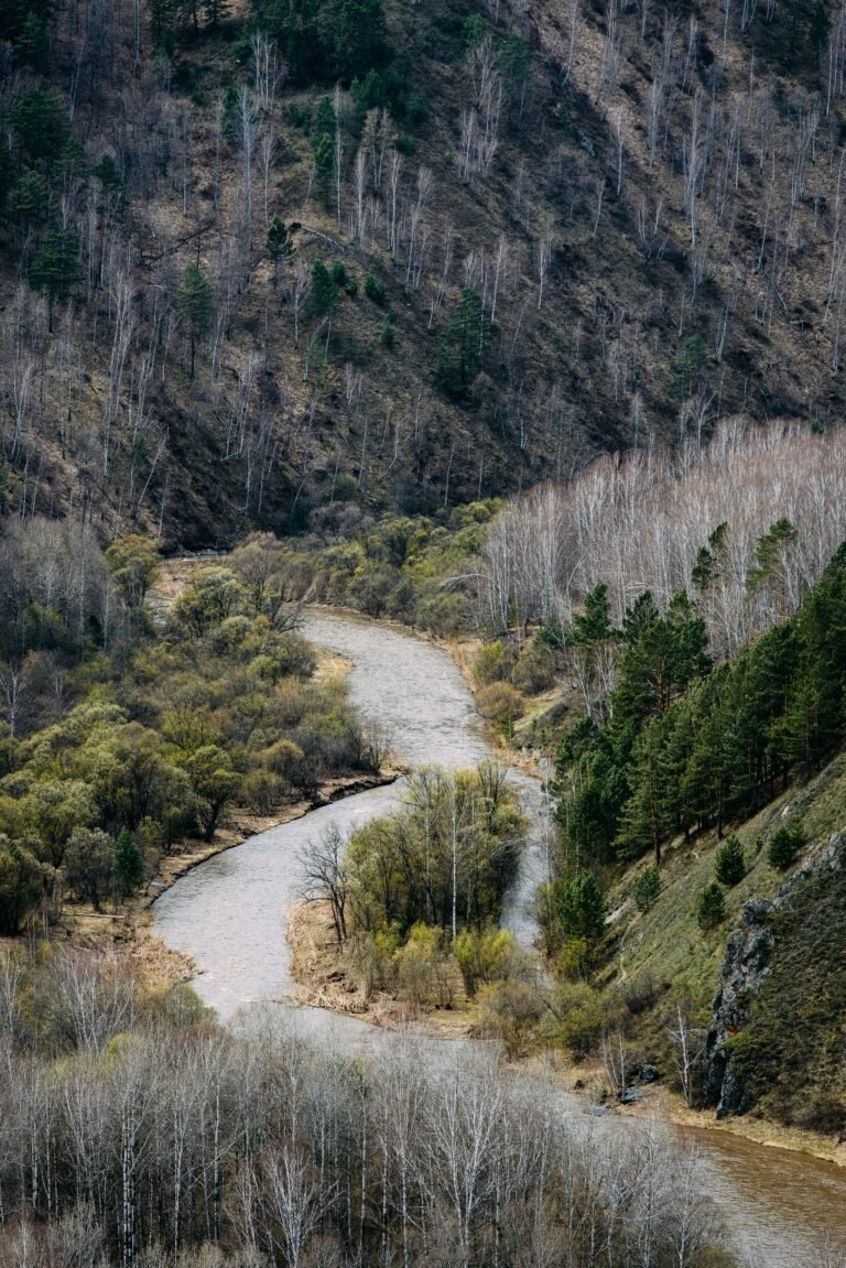 House near river with FEMA flood zone insurance risk