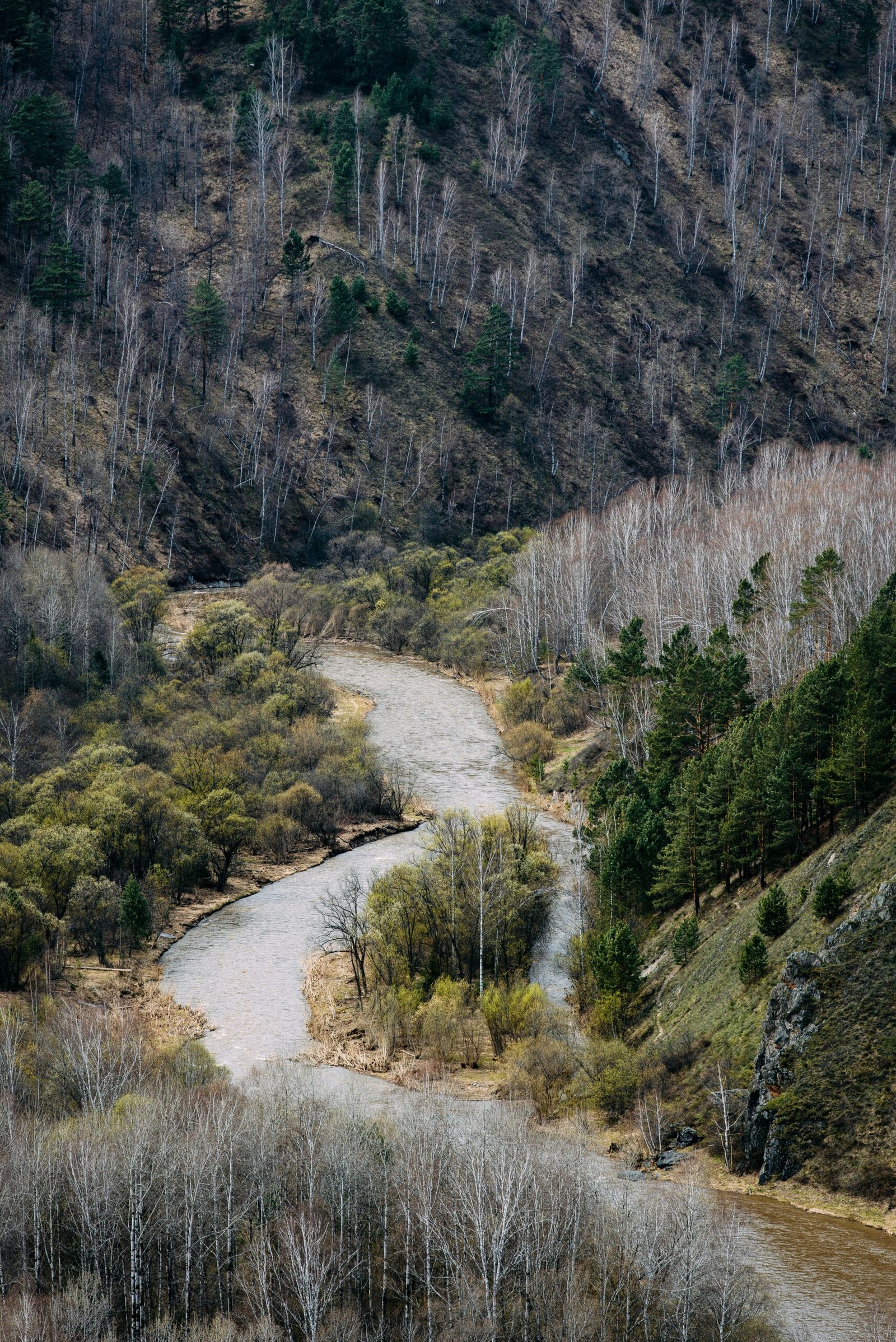 House near river with FEMA flood zone insurance risk